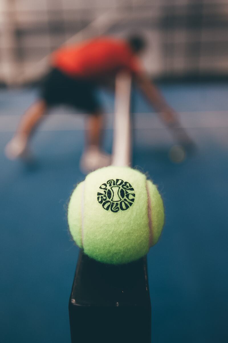 A padel ball with the Vida Del Padel logo, balanced on the net post, with a player blurred behind.